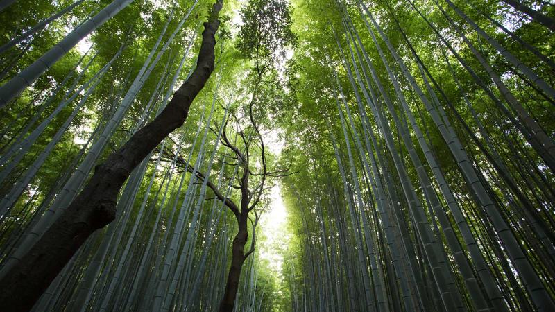 一竞技平台用户界面与数据面板展示